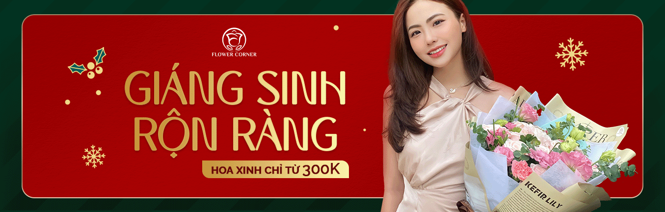 Giáng sinh rộn ràng - Hoa xinh chỉ từ 300k!